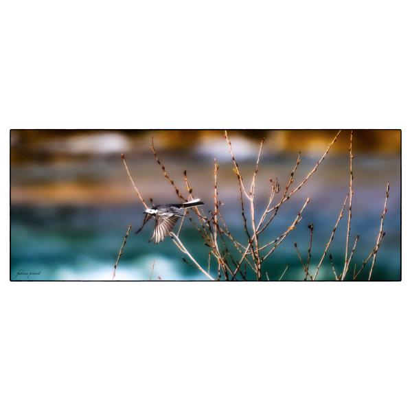 PHOTO84, CLUB, 84 , LUBERON